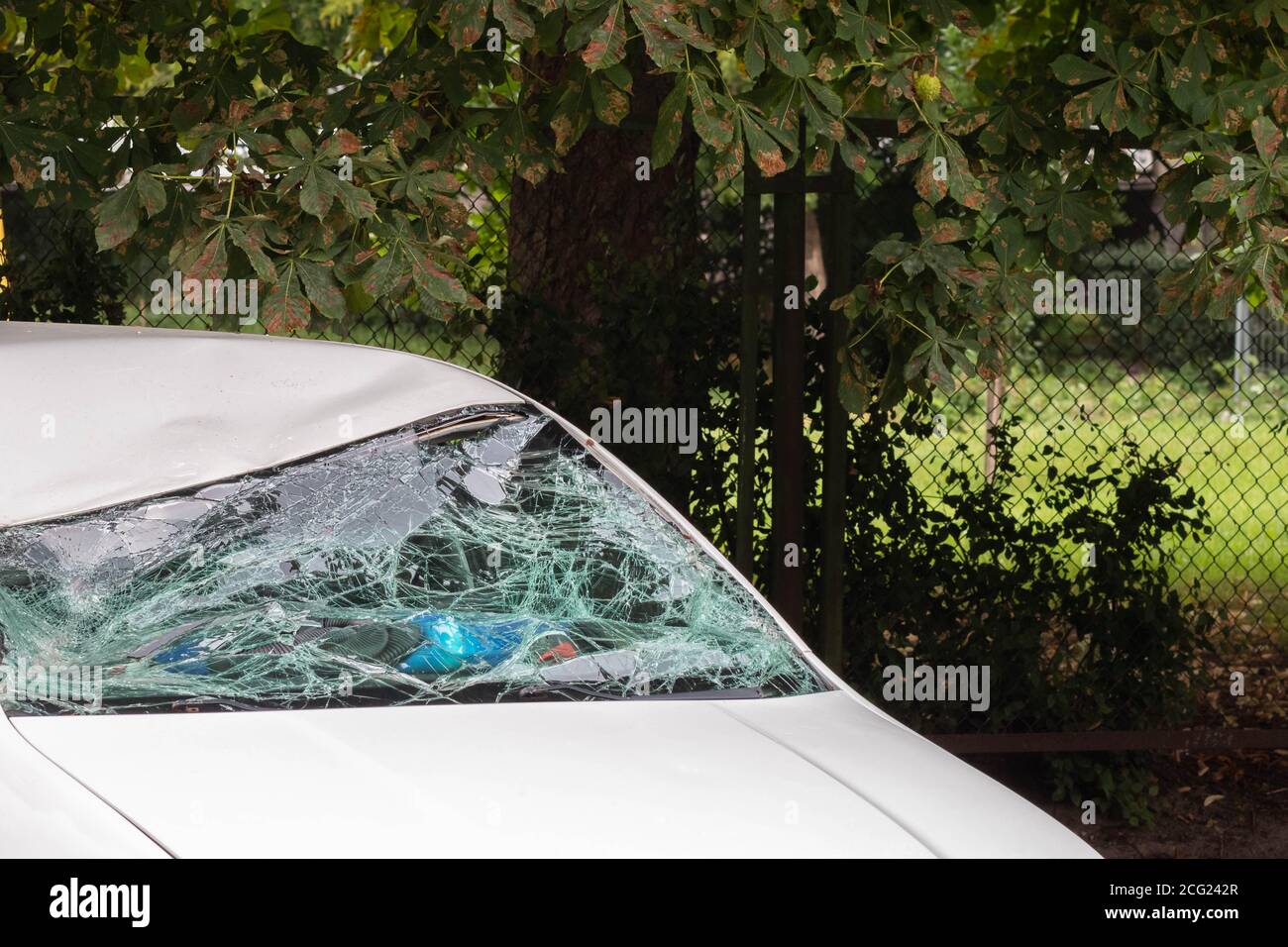 Smashed windshield of white car after accident on road. Selective focus. Car insurance concept Stock Photo