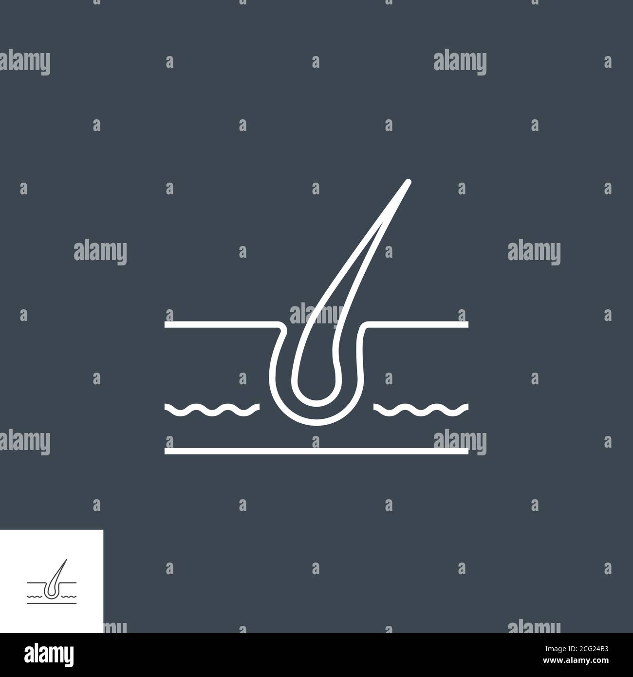 Hair Vector Line Icons Stock Vector Image & Art - Alamy