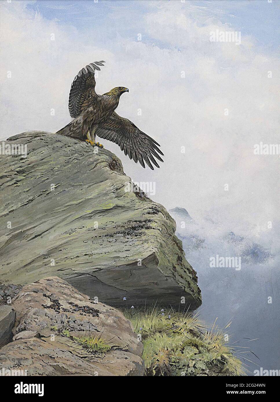 Lodge George Edward - a Golden Eagle with Outspread Wings on a Rocky Outcrop - British School - 19th  Century Stock Photo
