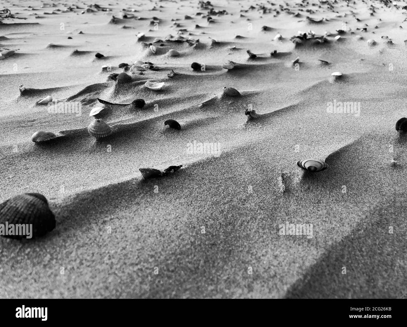 Relief in sand caused by shells and wind Stock Photo
