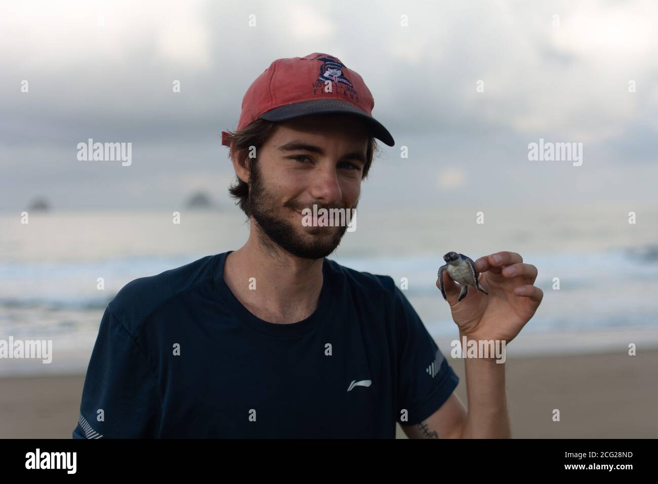 young handsome conservationist holding a baby turtle Stock Photo