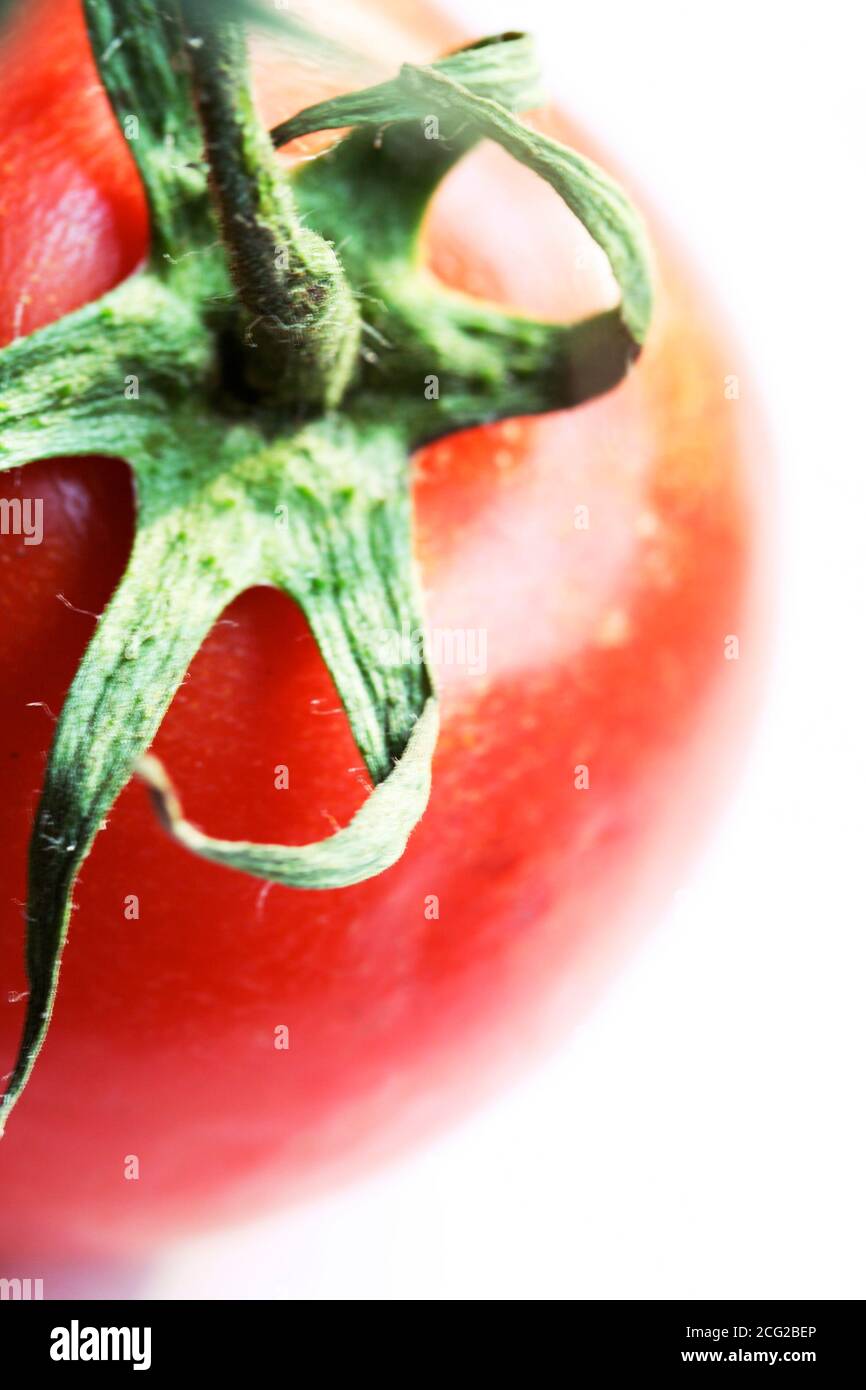 tomato Stock Photo