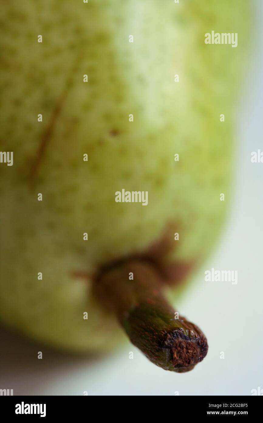 pear, close up Stock Photo
