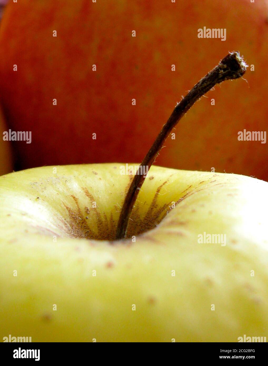 yellow apple Stock Photo