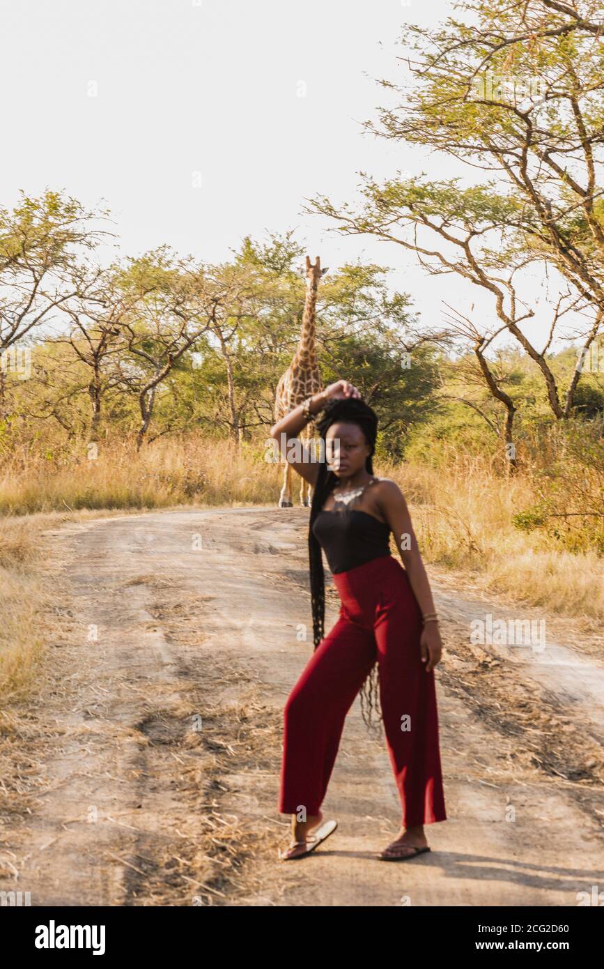 african woman in africa bush with giraffe in background Stock Photo