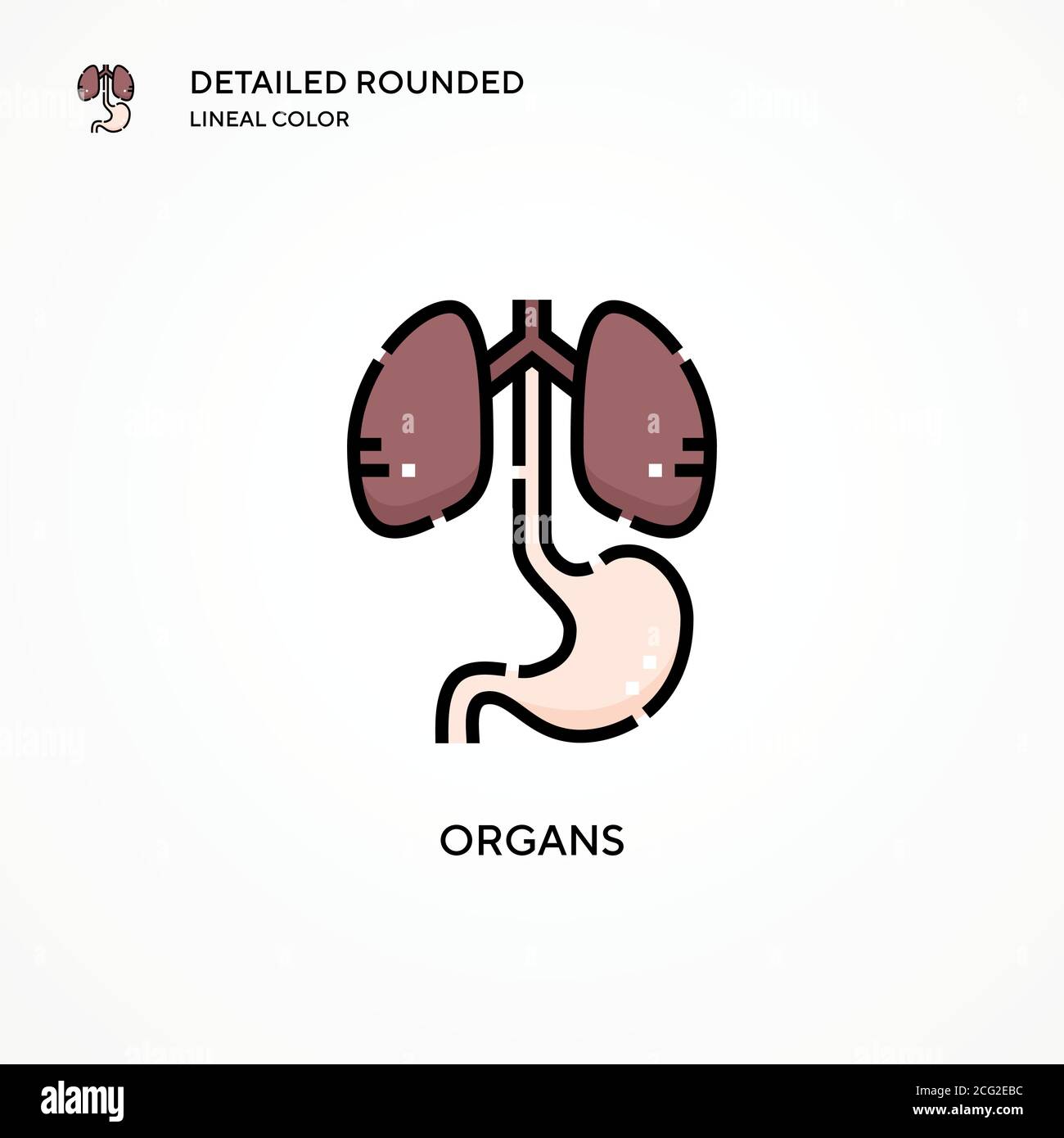 Organs vector icon. Modern vector illustration concepts. Easy to edit and customize. Stock Vector