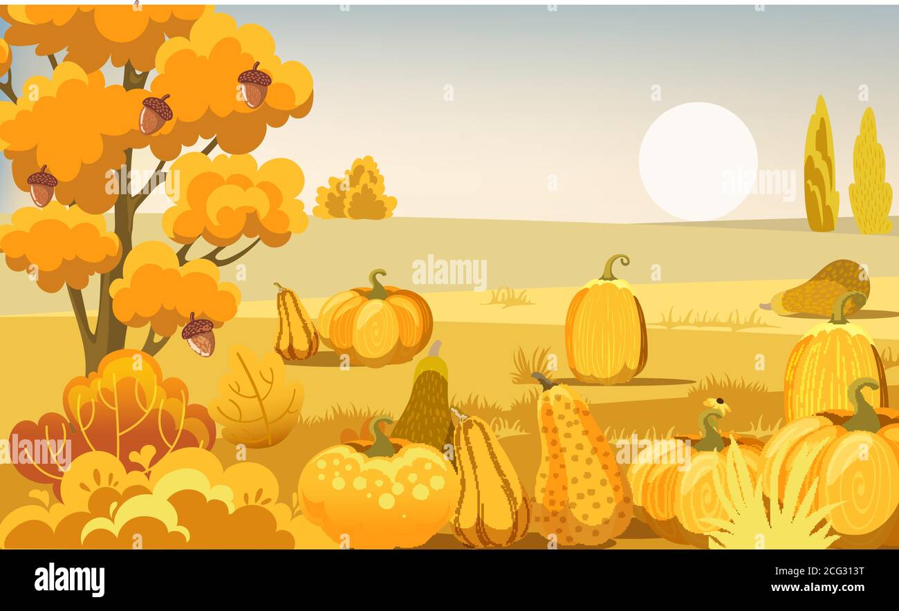Field with pumpkins, bushes and a tree with acorns. Autumn thematics. Vector Stock Vector