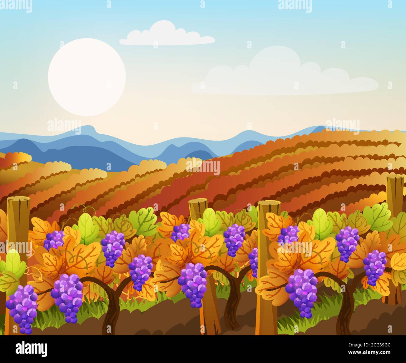 Peisage of empty and filled with grape trees fields. Vineyard. Autumn plant. Warm colors. Vector Stock Vector