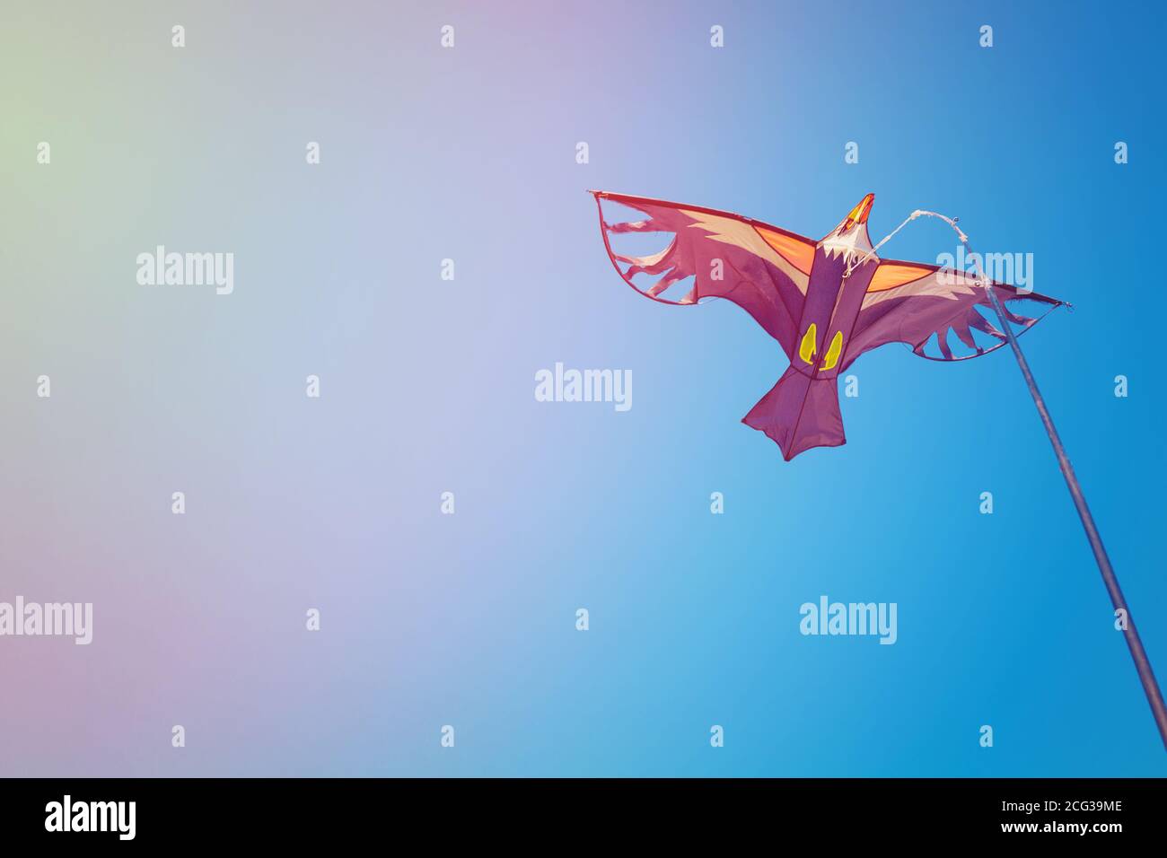 colorful kite in the form of a bird in the glow. Stock Photo