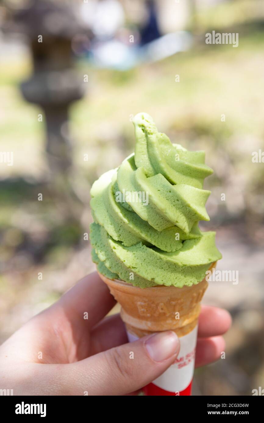 Matcha ice cream in a cone, held by a hand in front of cherry blossom
