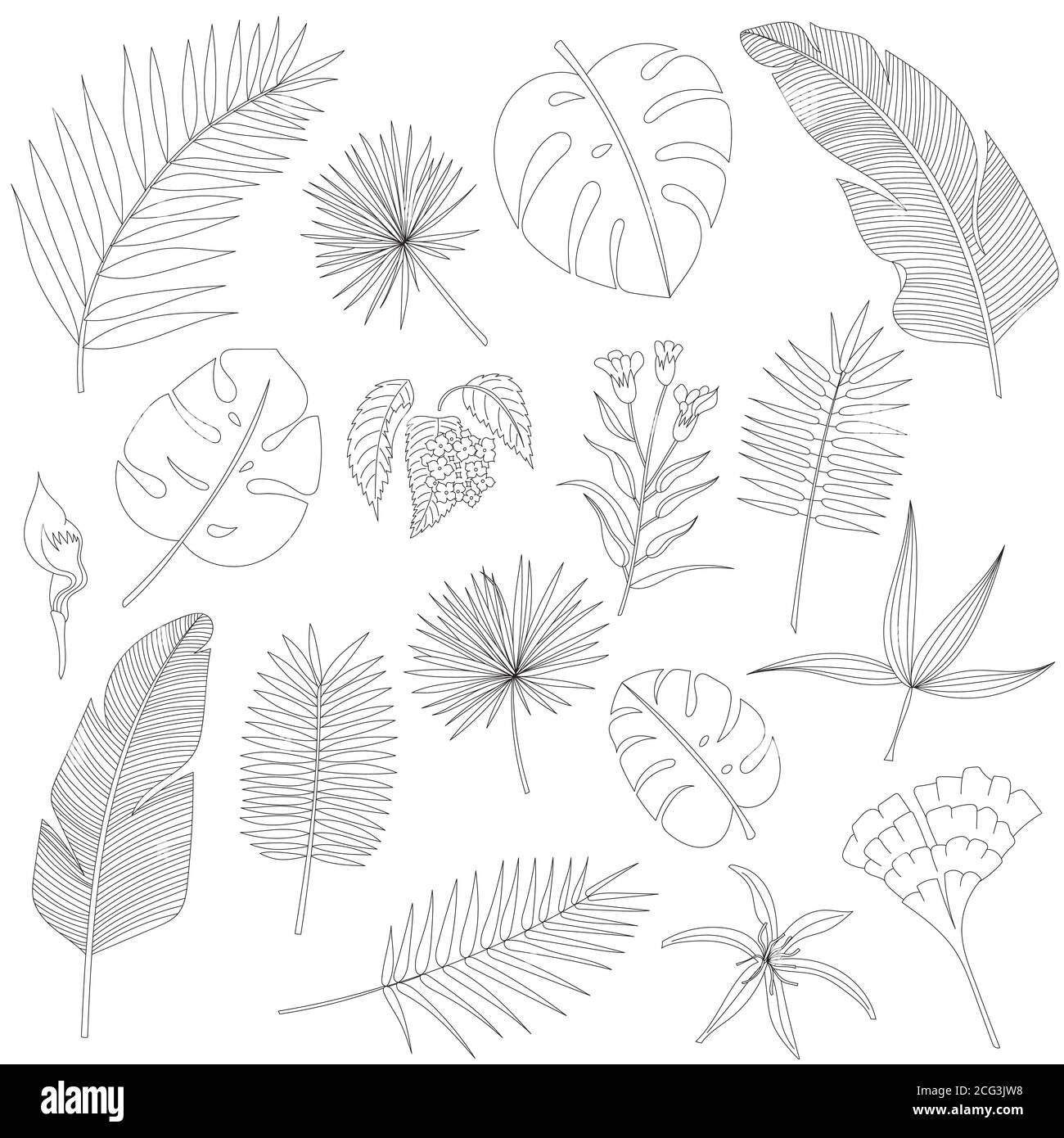 Set of tropical palm leaves, black silhouettes isolated on white background. Vector Stock Vector