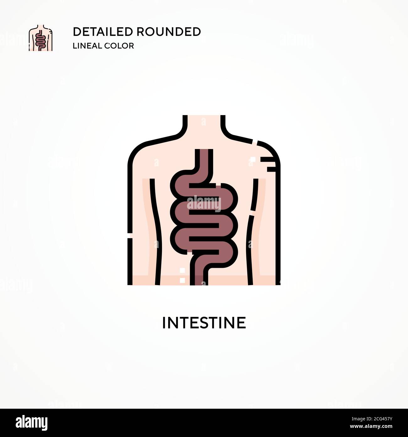 Digestive system enzymes Stock Vector Images - Alamy