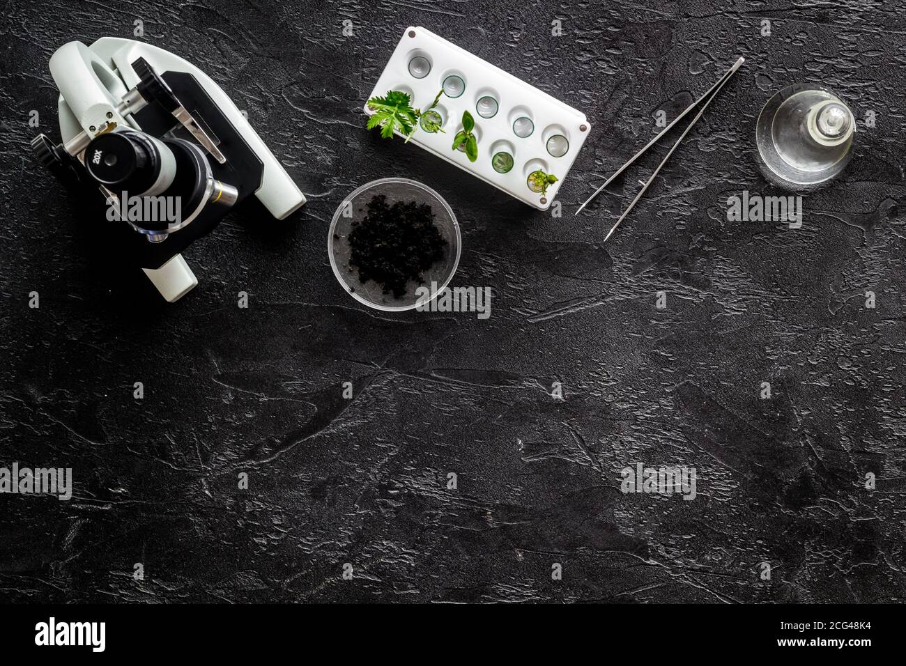 Biological research. Glass in test tubes with microscope on lab table ...