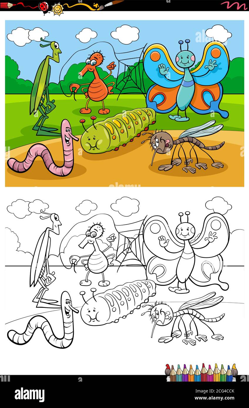 Cartoon Illustration of Funny Insects and Bugs Animal Characters Group ...