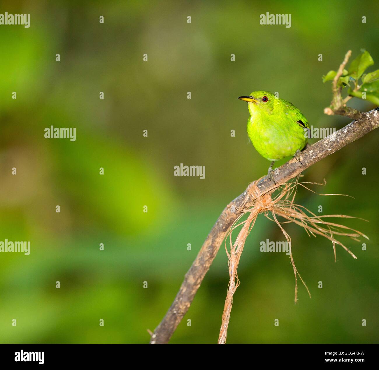 View of Image result for Using Texture to Create Mood in Art