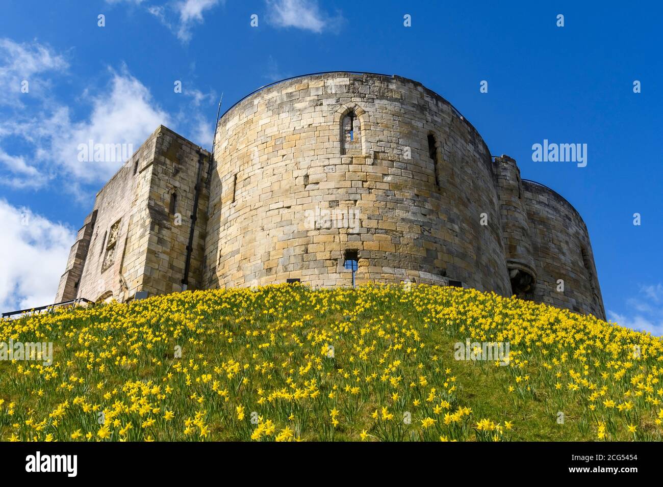 Clifford's Tower (ancient old historic castle ruin, yellow spring