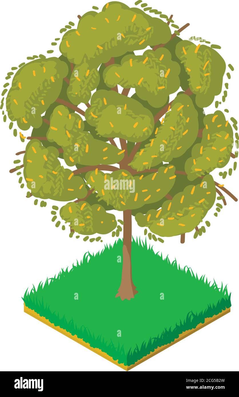 Honey locust icon, isometric style Stock Vector