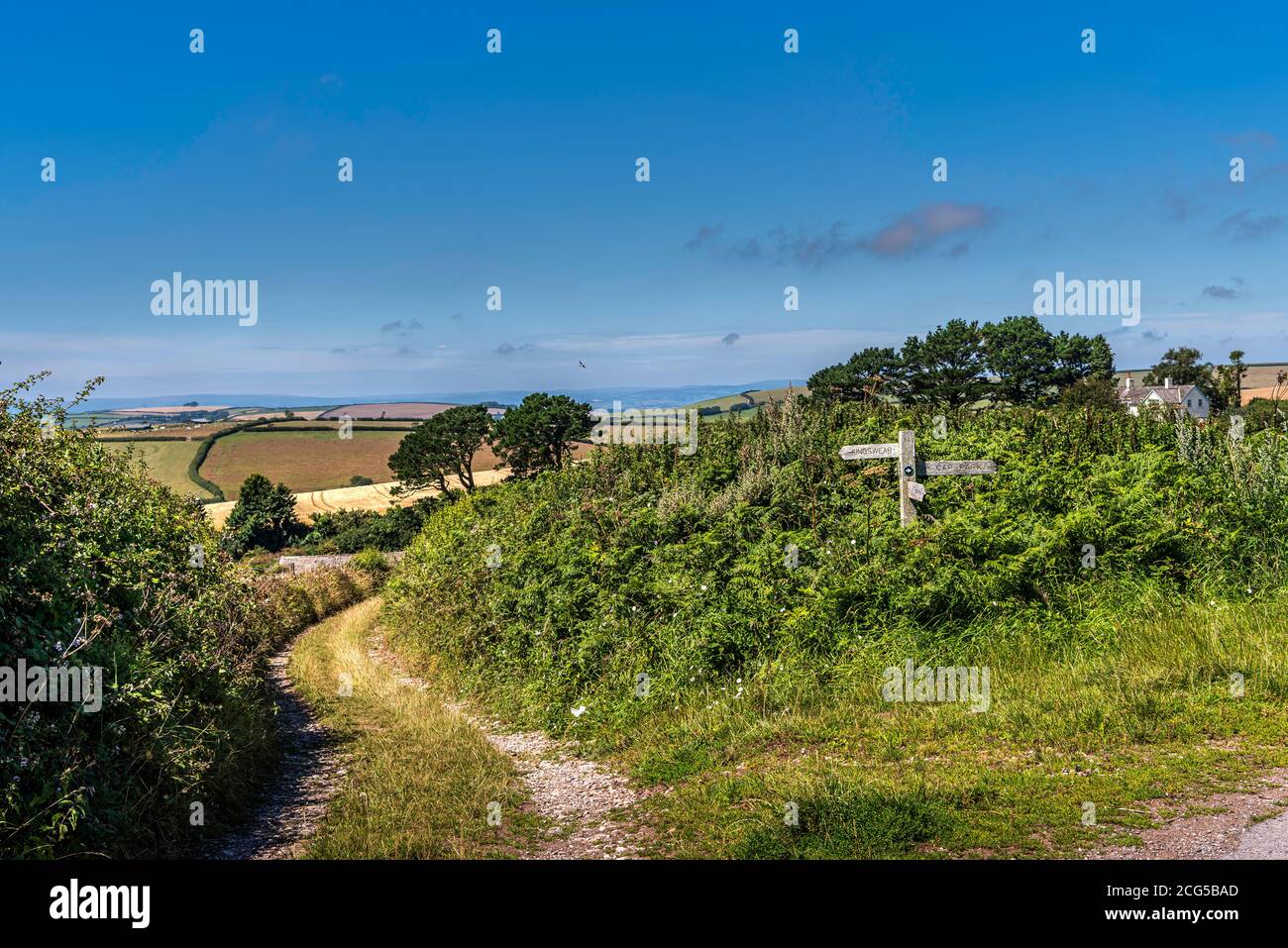 Devon lane at Brownstone above Kingswear on the footpath to the daymark