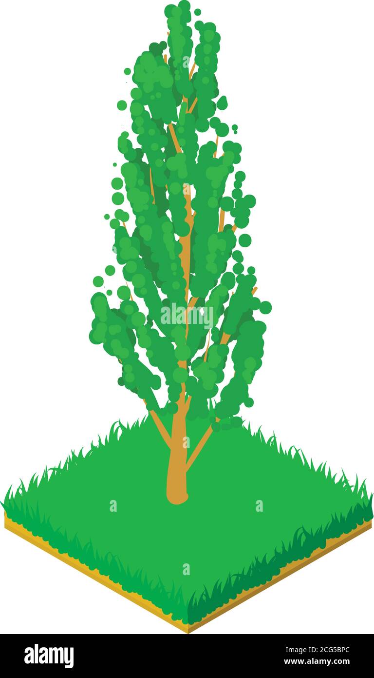 Poplar icon, isometric style Stock Vector