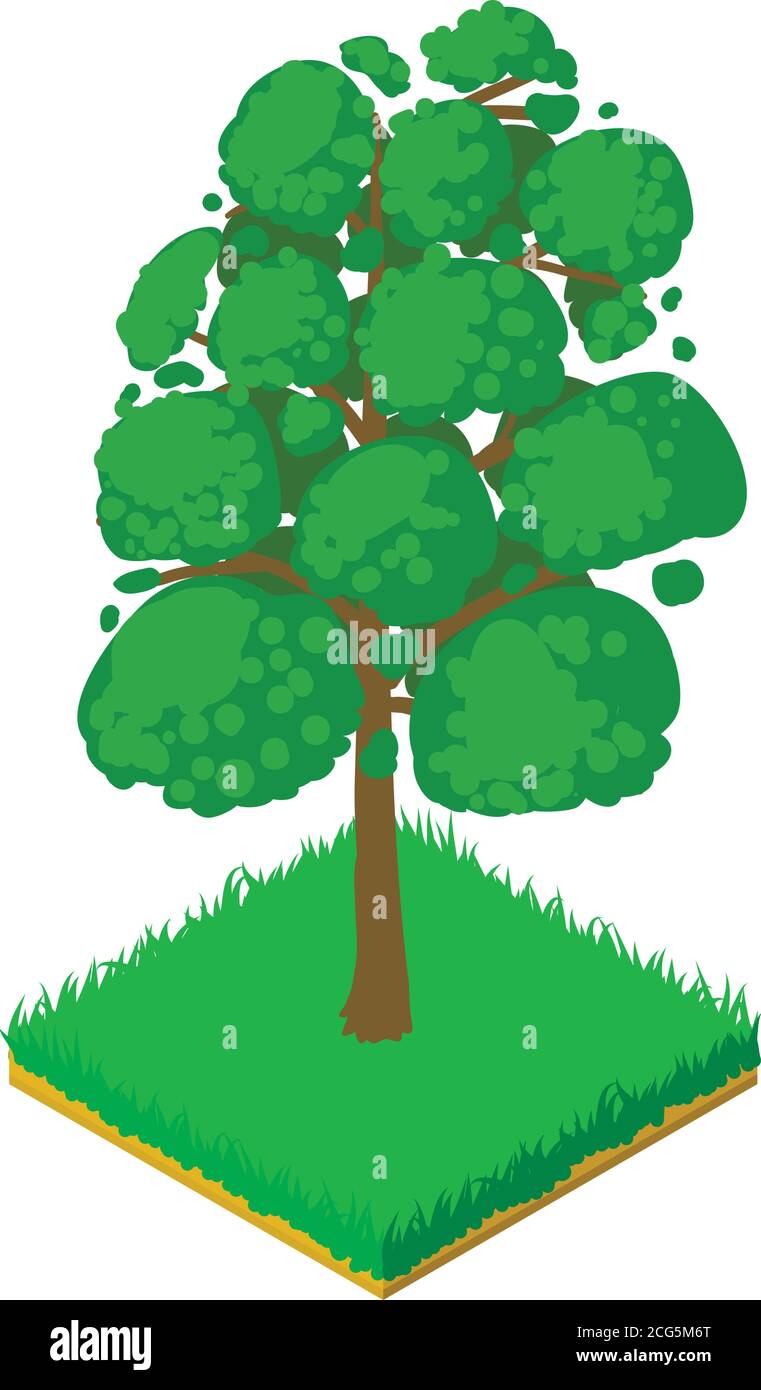 Sassafras icon, isometric style Stock Vector