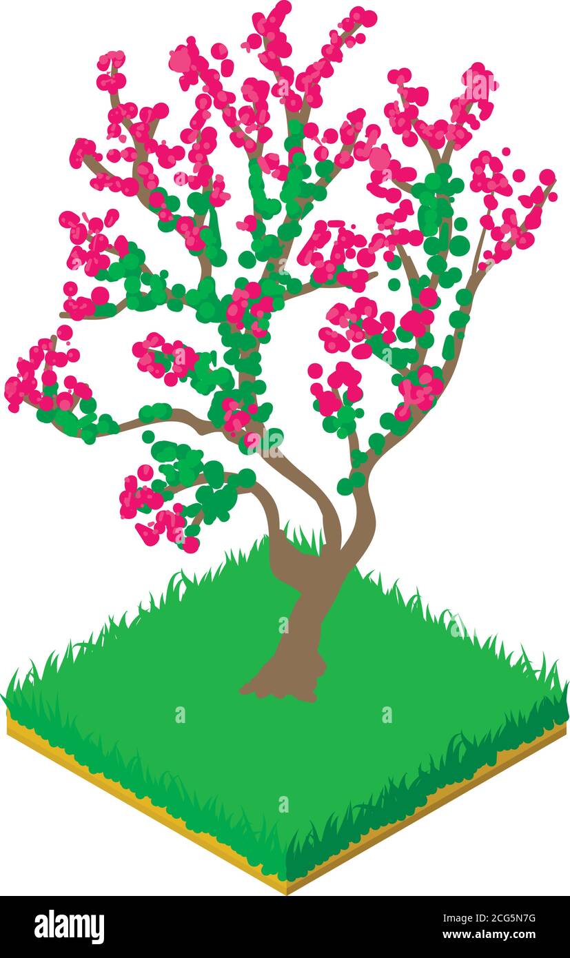 Blooming cherry icon, isometric style Stock Vector