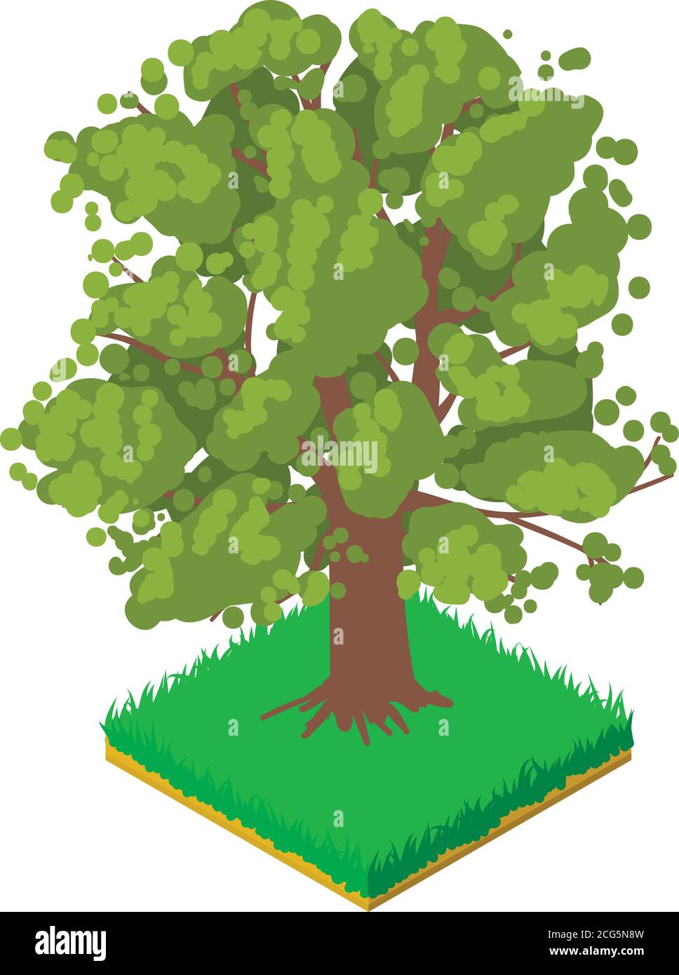 Oak icon, isometric style Stock Vector