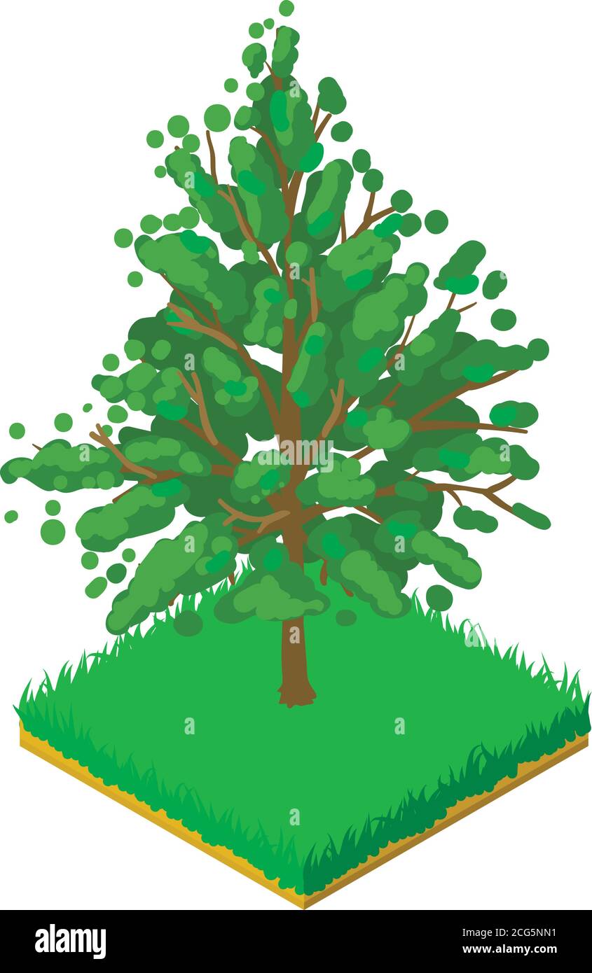 Old magnolia tree Stock Vector Images - Alamy