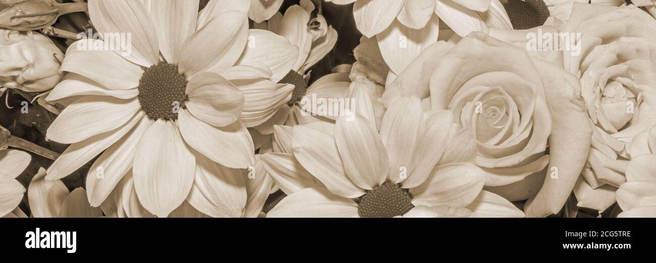 Sepia panorama hi-res stock photography and images - Alamy