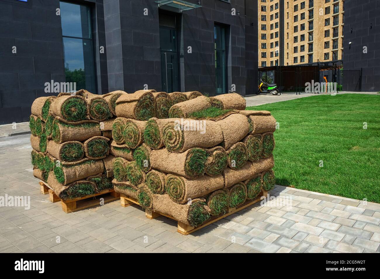 Pallets with sod turf grass. The stacked fresh sod rolls for new grass lawn in residential area.Urban greenery. Stock Photo