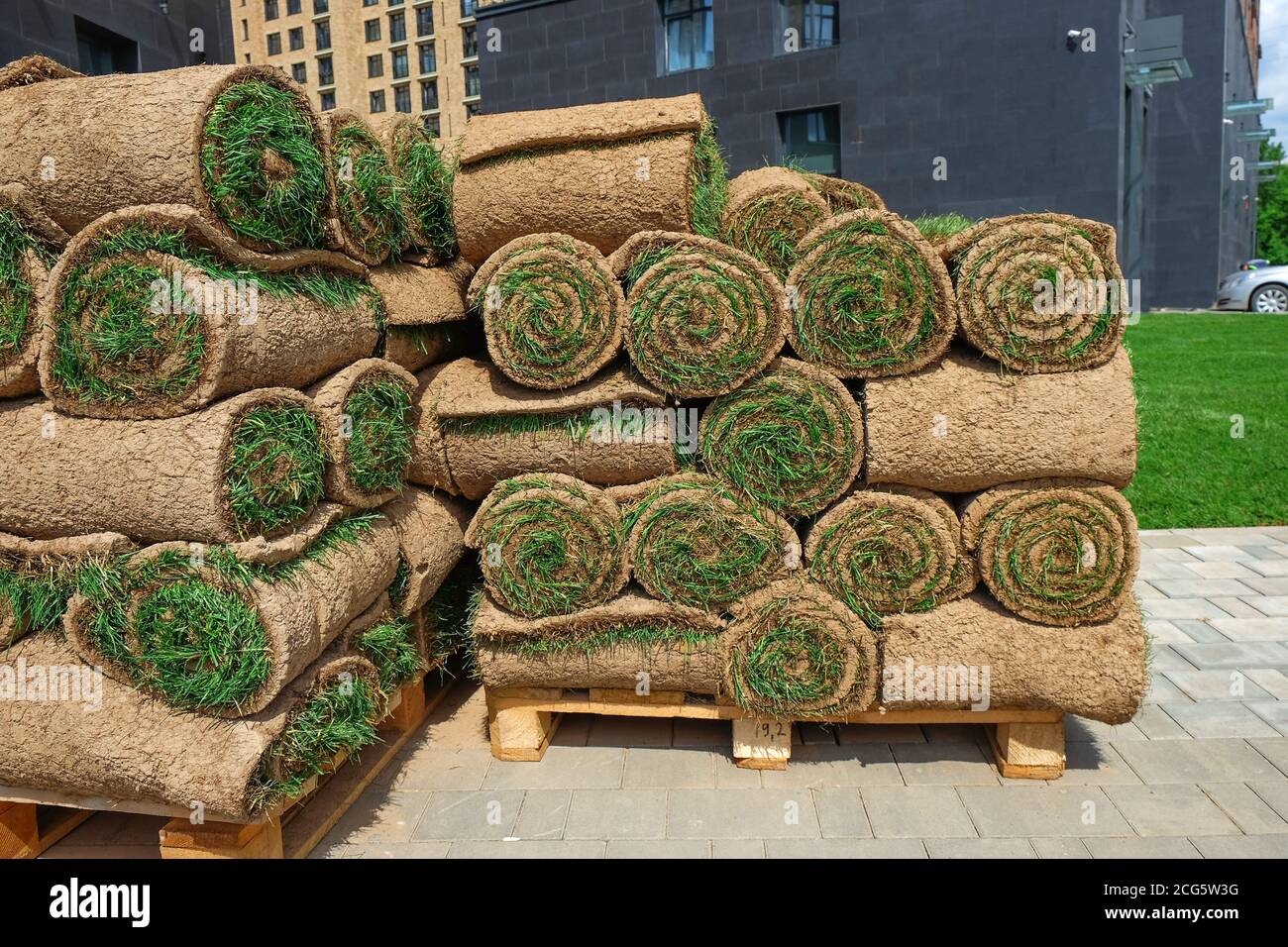 Pallets with sod turf grass. The stacked fresh sod rolls for new grass lawn in residential area.  Stock Photo