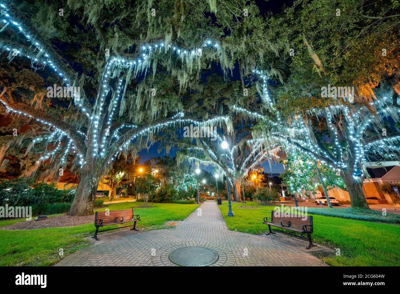 Night photo of Bloxham Park at Downtown Tallahassee with holiday lights