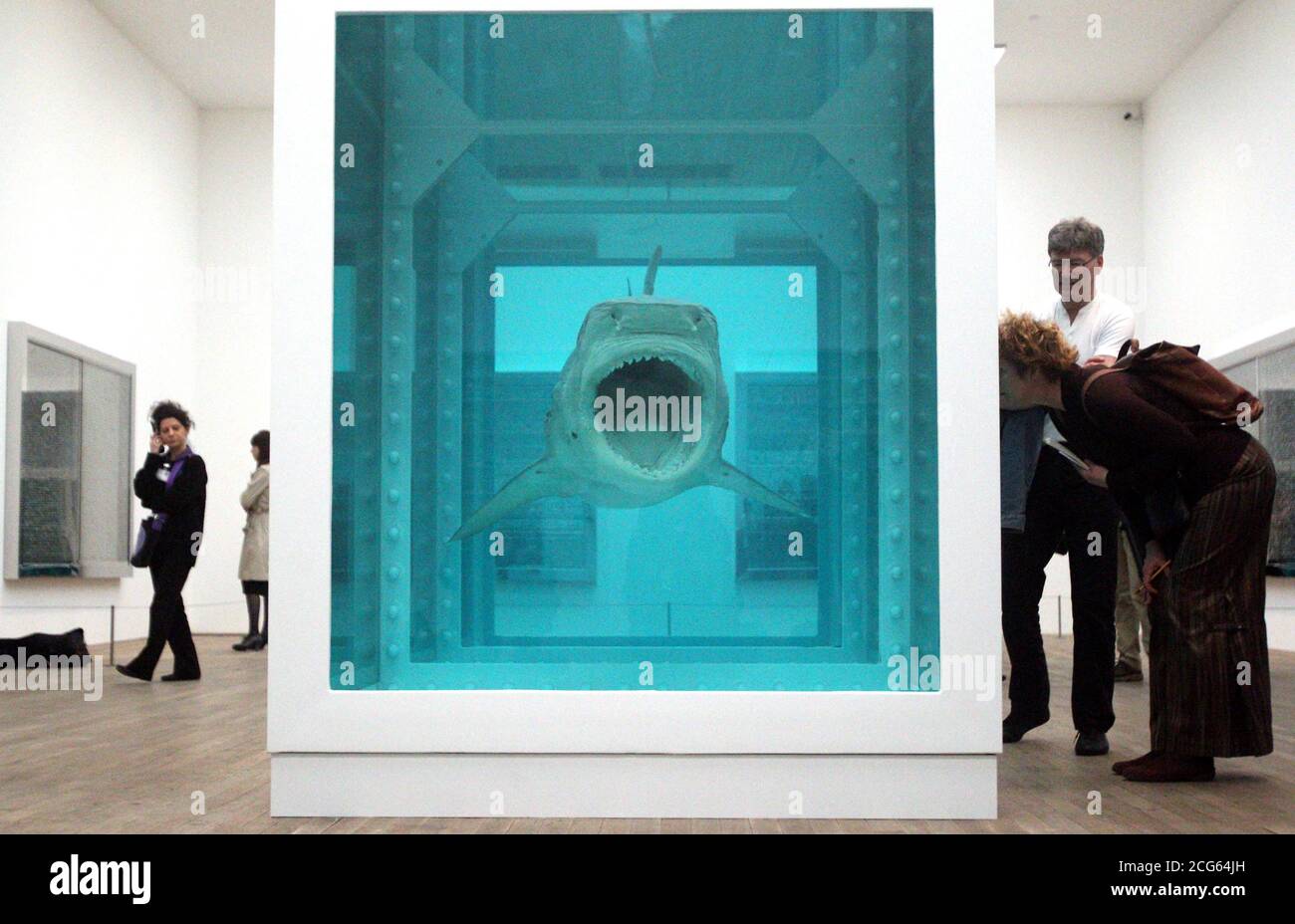 Damian Hirst's 1991 work 'The Physical Impossibility of Death in