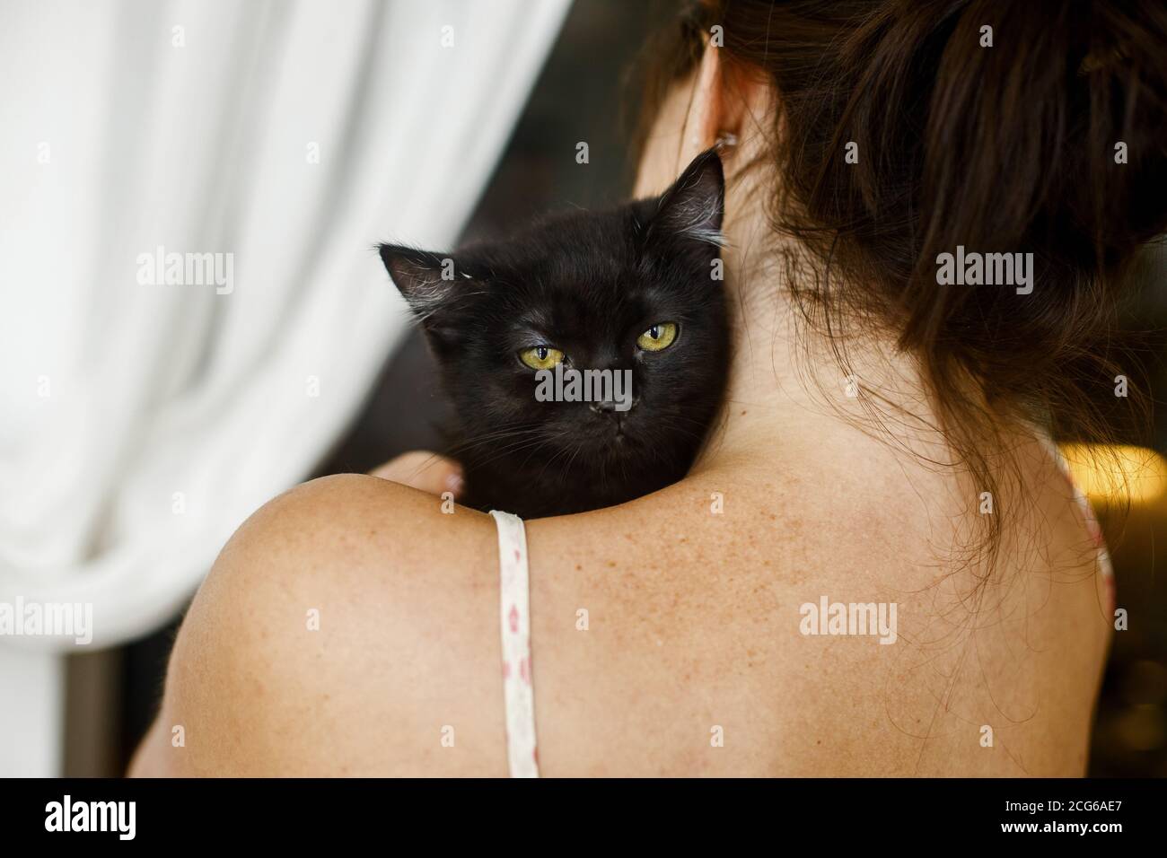 Curious Cat High Resolution Stock Photography And Images Alamy