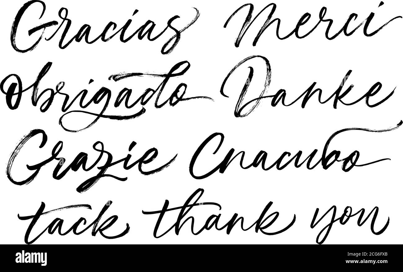 Thank you phrases in different languages.  Stock Vector