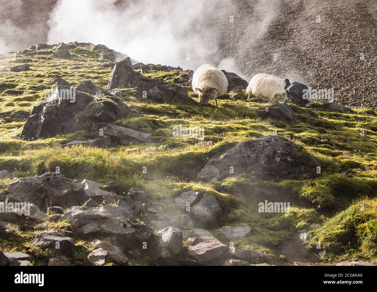 Landmannalaugar, one of the most famous destinations in the icelandic Ighlands Stock Photo
