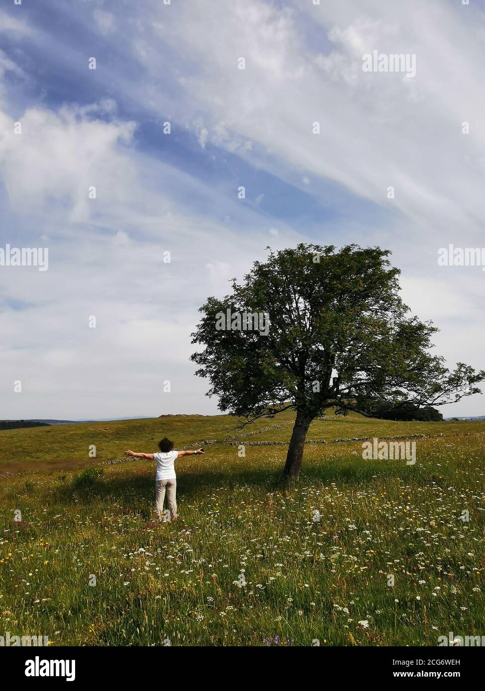Woman standing in a meadow with her arms outstretched, Aubrac, Auvergne, France Stock Photo