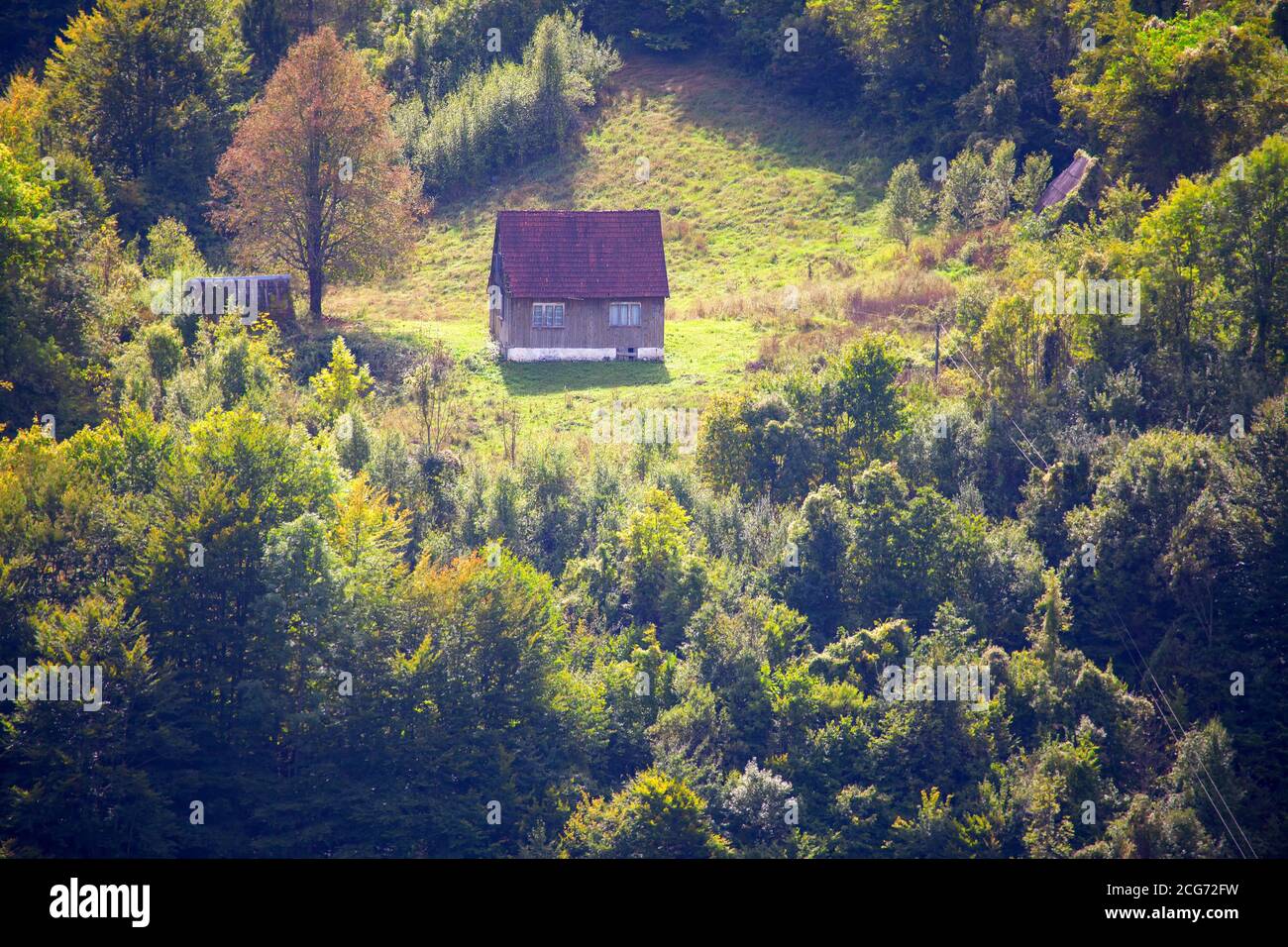 House Situated In The Middle Of The Forest Wooden Cottage Surrounded By Woodland Quiet Calm Place In Nature Stock Photo Alamy House Situated In The Middle Of The Forest Wooden Cottage Surrounded By Woodland Quiet Calm Place In Nature Stock Photo Alamy