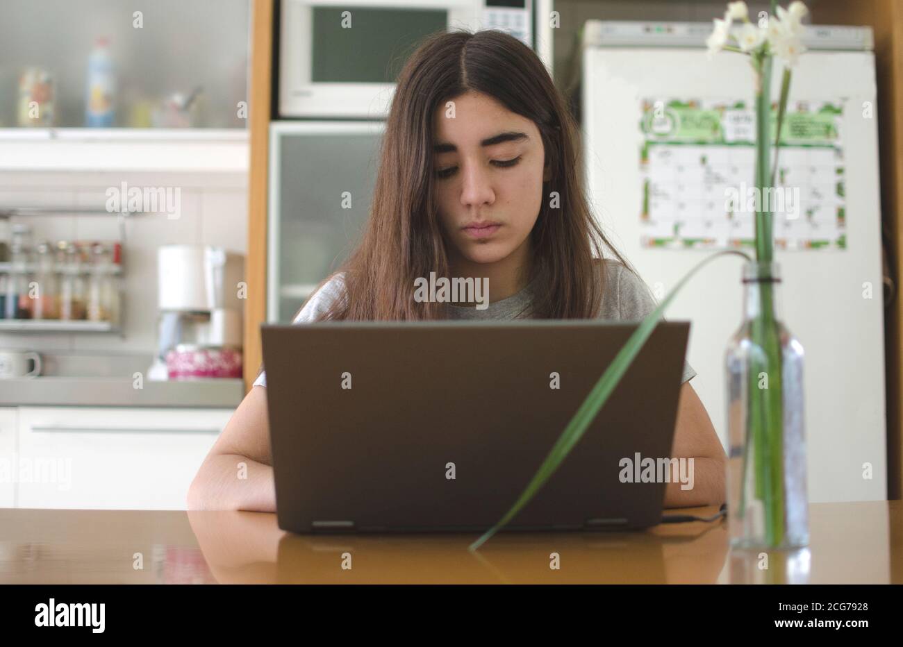 Teenage girl sitting in the kitchen using a laptop Stock Photo