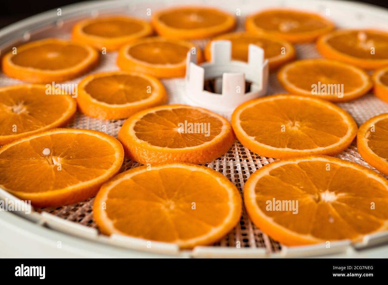 Close-up of homemade dried orange placed on plastic tray of fruit dryer machine, snacks concept Stock Photo