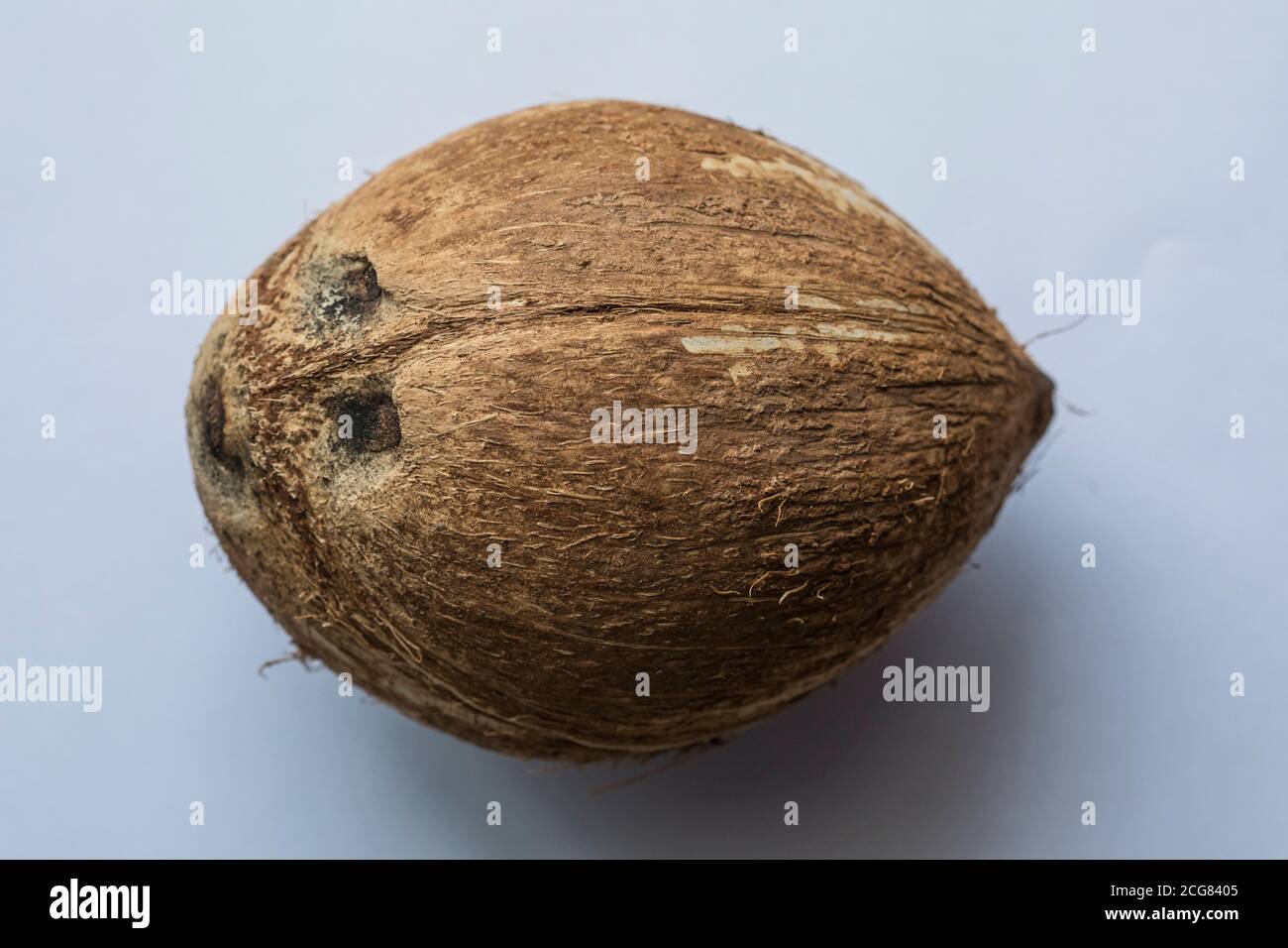 One whole raw coconut isolated on white background. Stock Photo
