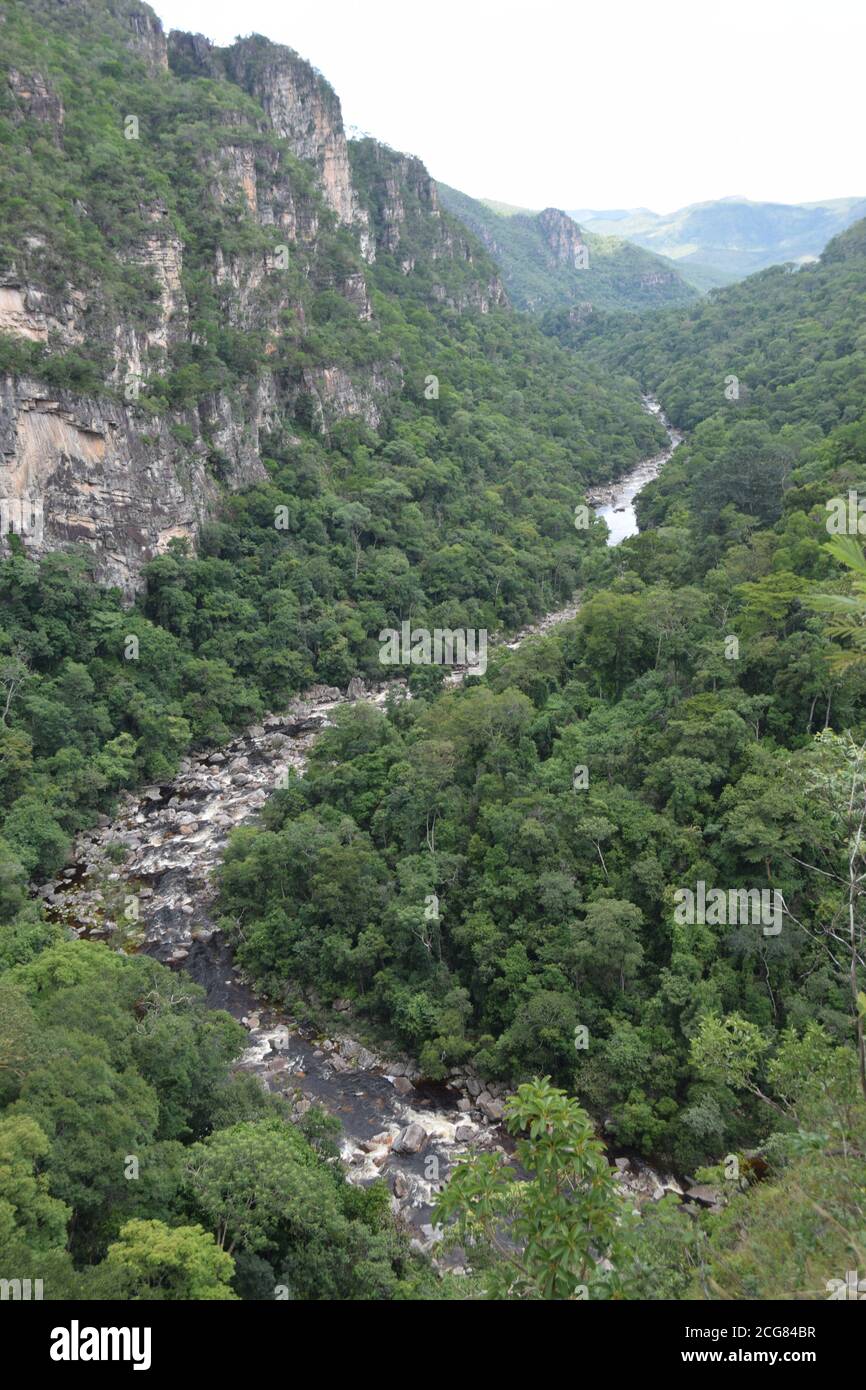 river stream and forest of cerrado bioma Brazil Goias state Parque ...