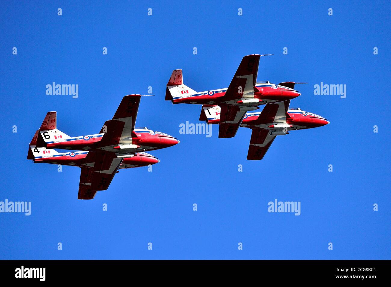 Four members of the Canadian Forces 431 Air Demonstration squadron flying in formation at an air show in 2019 over the Nanaimo harbour on Vancouver Is Stock Photo