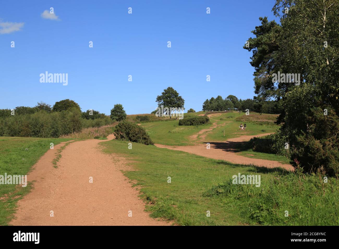 Path leading to the four stones at the top of the Clent hills, Worcestershire, England, UK. Stock Photo