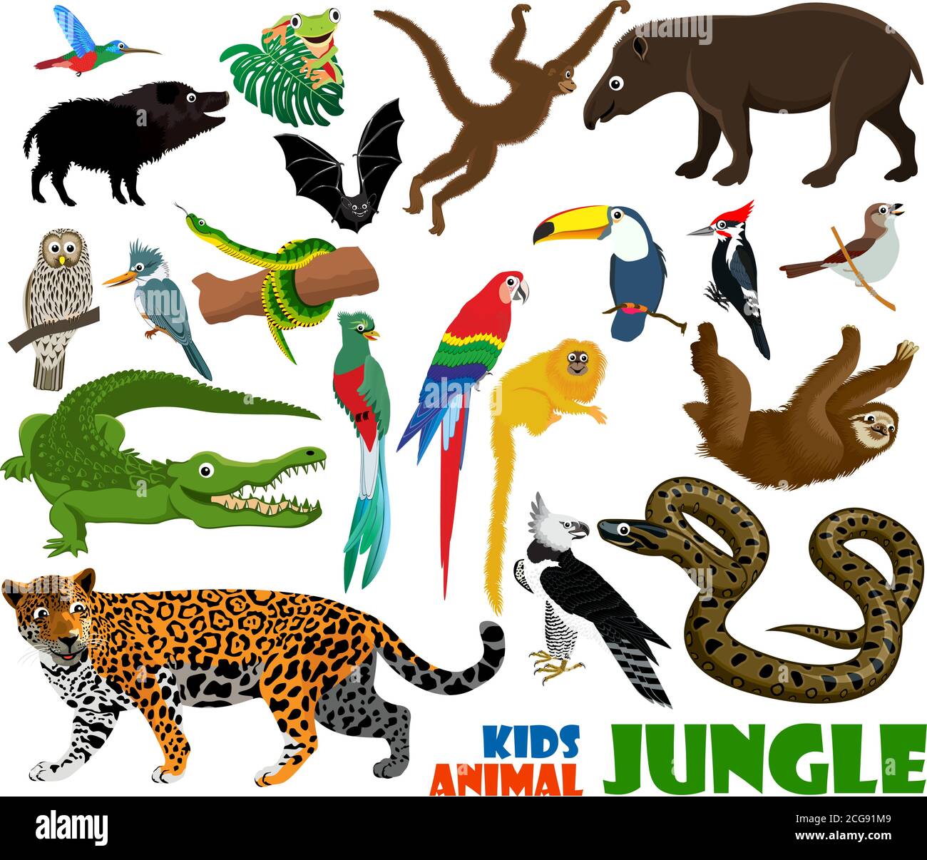 vector set of cute jungle kids animals Stock Vector