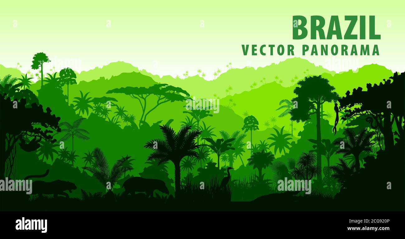 Vector panorama with Jungle Rainforest - Brazil, South America Stock Vector