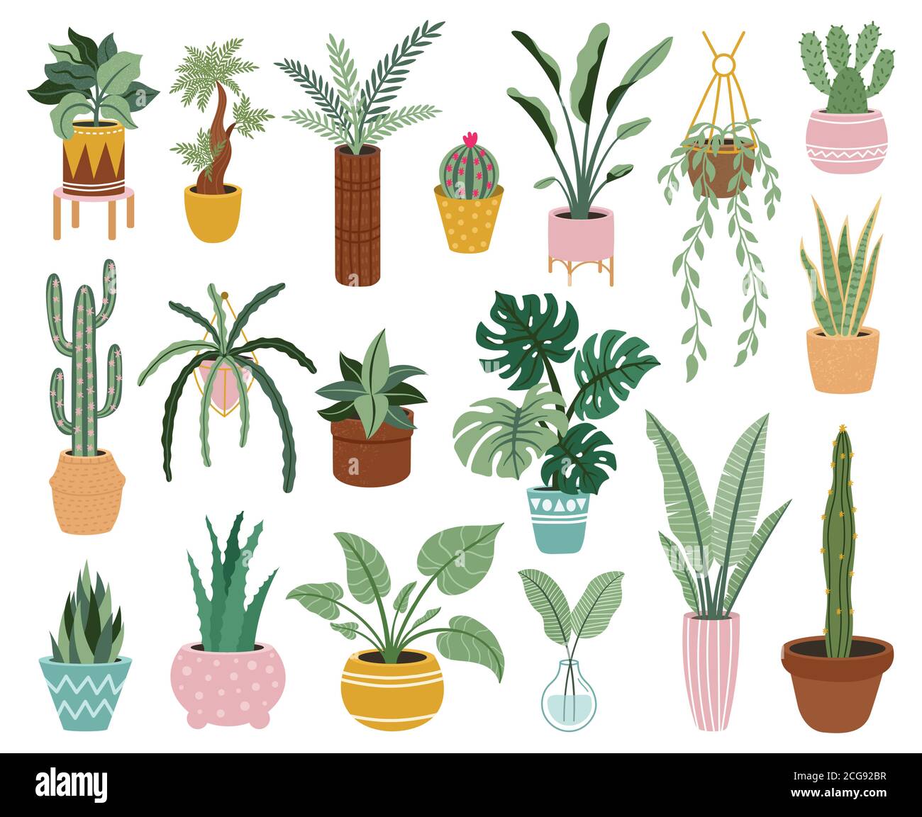 Home potted plants. Houseplants in plant pots, flower potted plant, green leaves interior decoration isolated vector illustration icons set Stock Vector & Art - Alamy