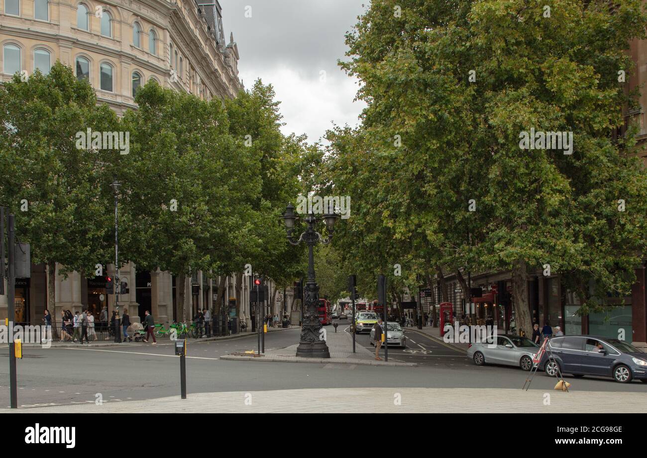 Northumberland avenue trees london hi-res stock photography and images ...