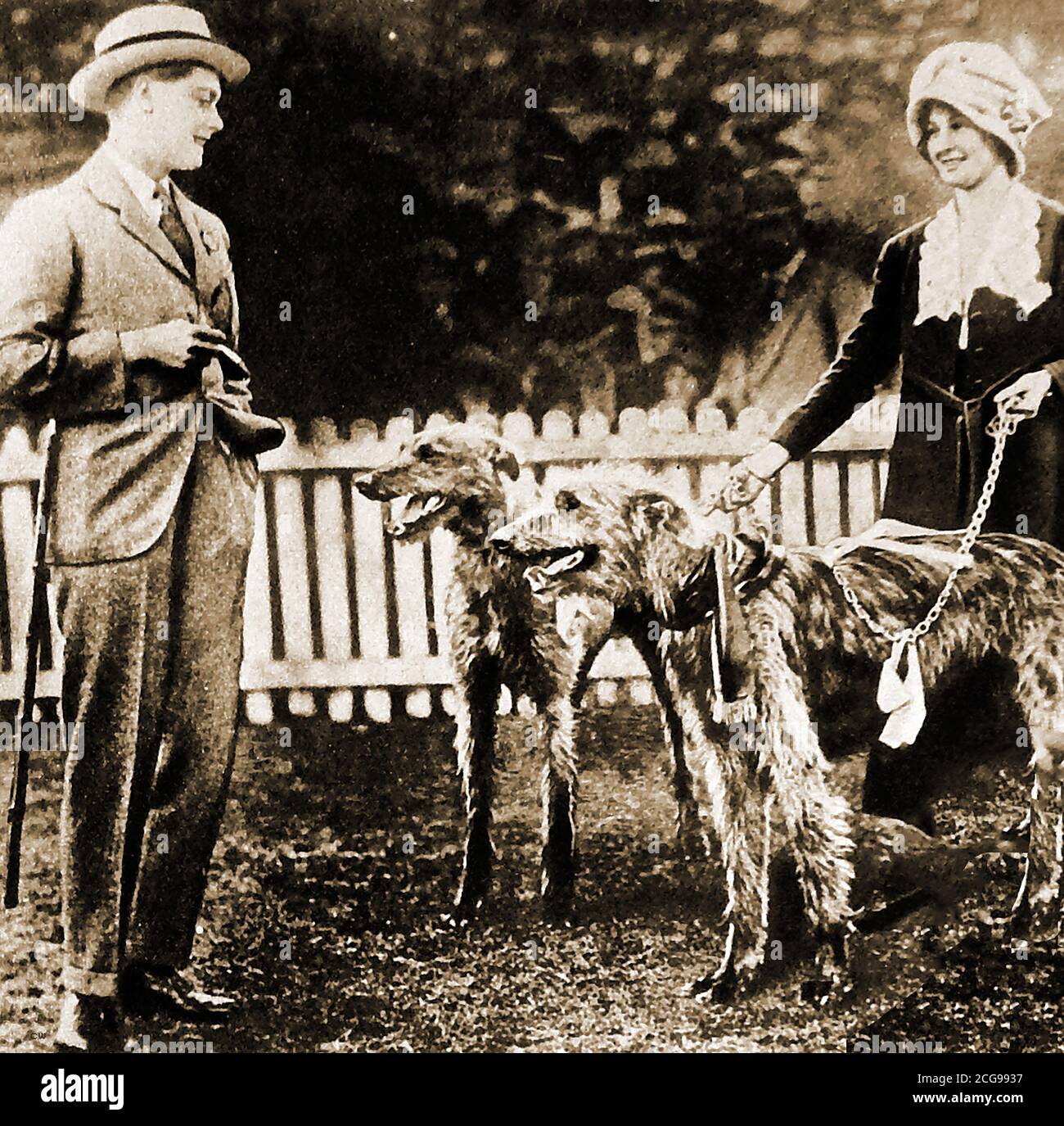1920 -  An unusual  casual photograph of Prince Edward on a tour of NZ and Australia viewing dogs before a dog parade the at National Exhibition, Brisbane. Full title was Duke of Windsor (Edward Albert Christian George Andrew Patrick David;  1894 –  1972),  became King  Edward VIII of the United Kingdom and the   British Empire, and Emperor of India, from 20 January 1936 until his abdication on 11 December of that year. He caused controversy in Australia over racist remarks about Aborigines being like monkeys. Stock Photo