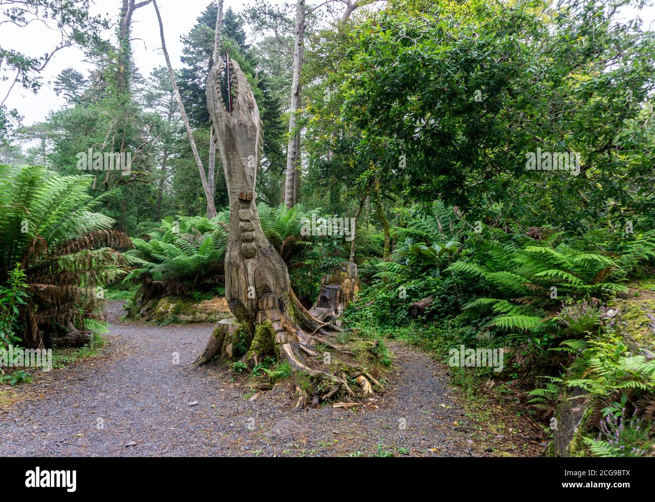 A dead tree sculpted into a dinosaur by Pieter Koning in Kells Bay Gardens in Kells, County Kerry, Ireland. Stock Photo