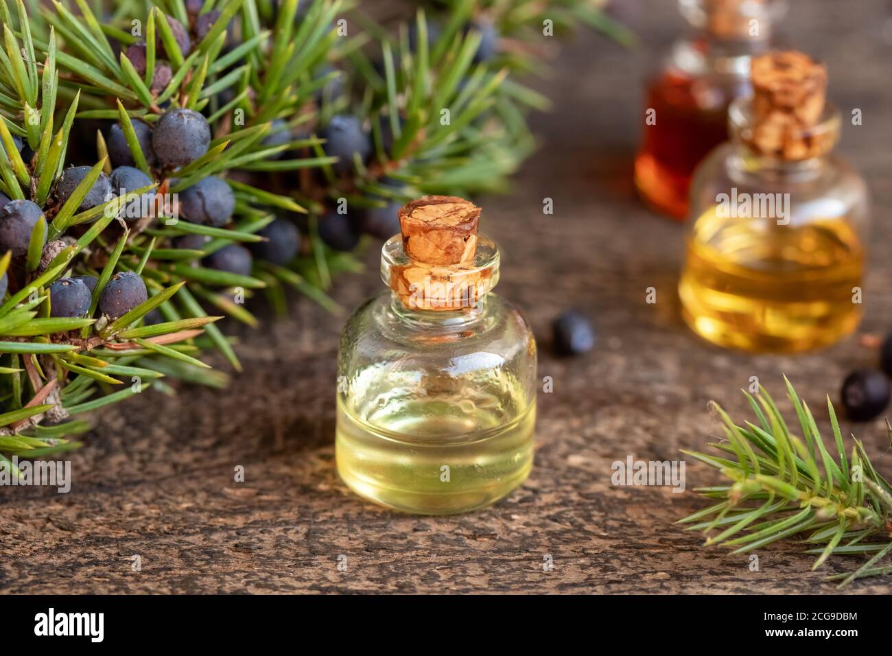 Bottles of essential oil with fresh juniper twigs and berries on a wooden background Stock Photo